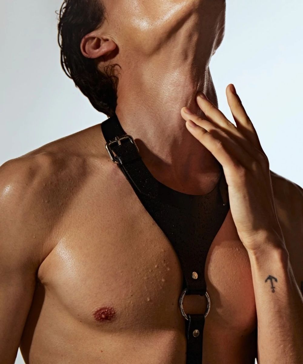 Портупея Den